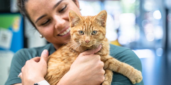Mariafe Artacho del Solar RSPCA Queensland Ambassador